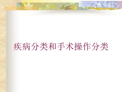 疾病分类和手术操作分类培训课件