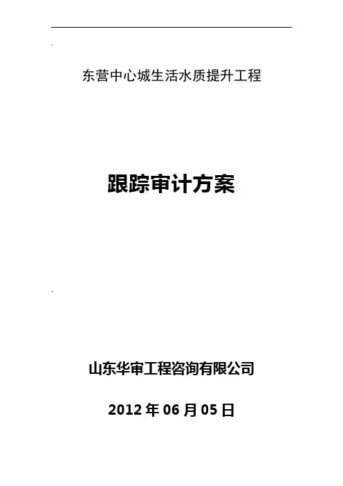 跟踪审计方案65084