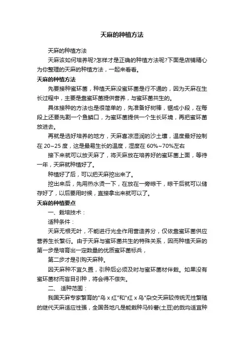 天麻的种植方法