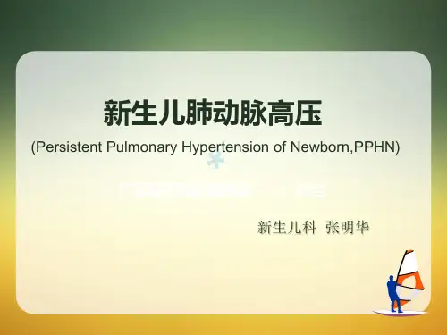 PPHN课件
