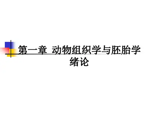 第一章--动物组织学与胚胎学绪论ppt课件