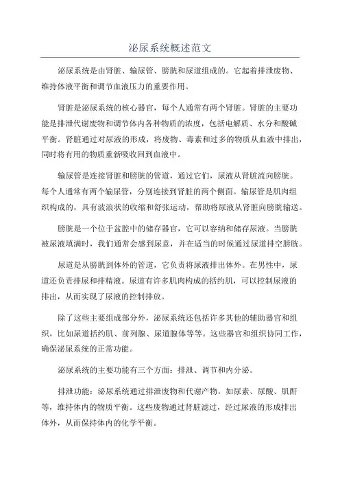 泌尿系统概述范文