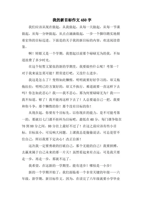 我的新目标作文450字