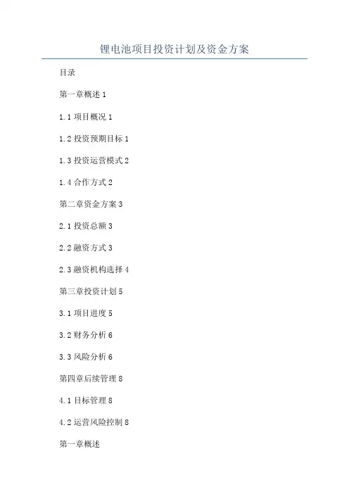 锂电池项目投资计划及资金方案