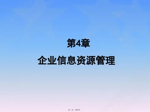第04章.企业信息资源管理
