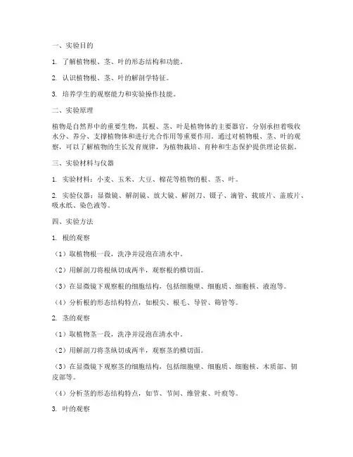 植物根茎叶观察实验报告