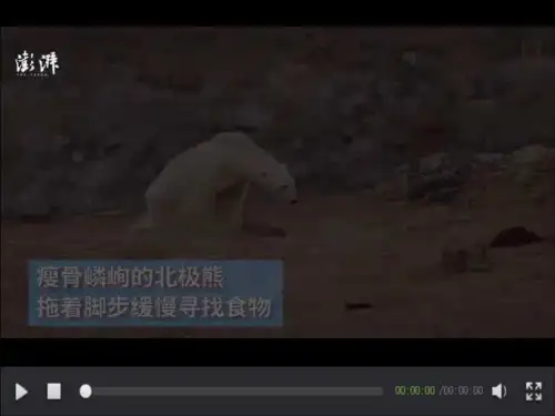 全球气候变化 高中地理必修课件ppt 人教版