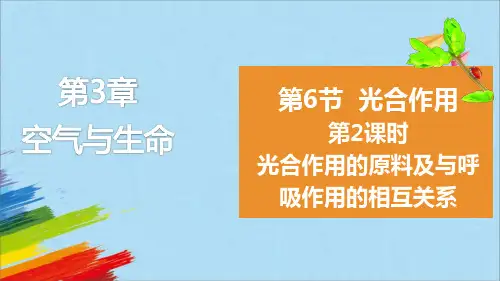 光合作用第2课时(PPT课件(初中科学)16张)