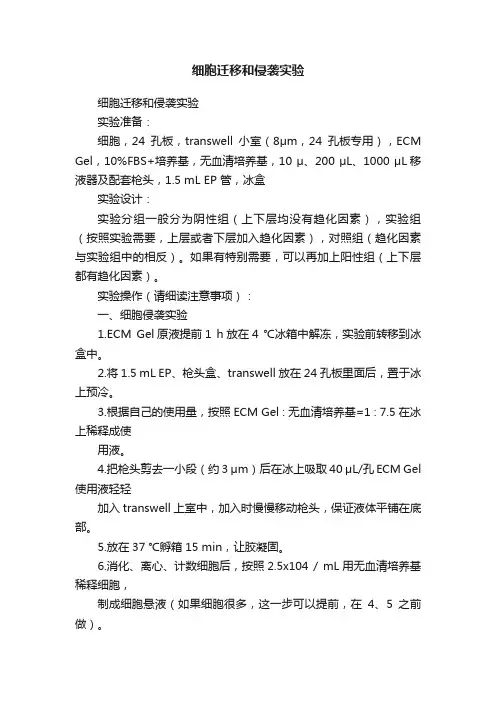细胞迁移和侵袭实验