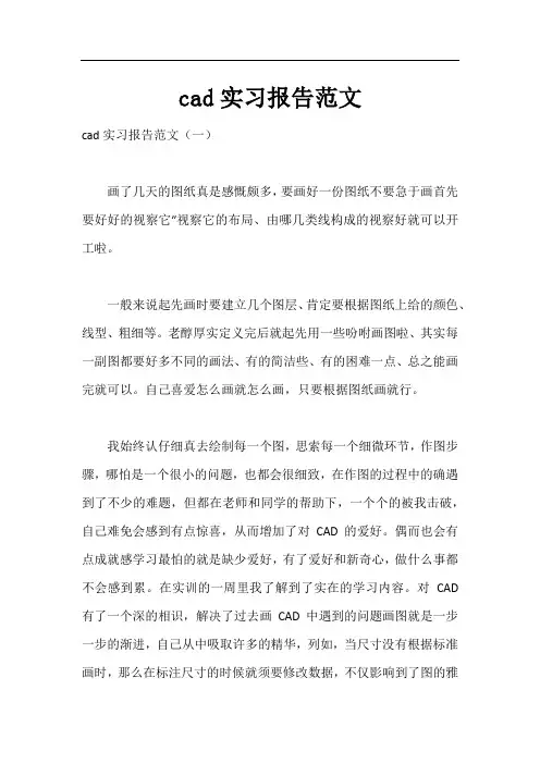 cad实习报告范文