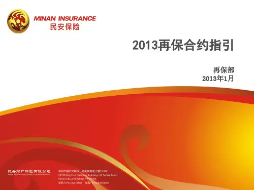 2013再保合约指引