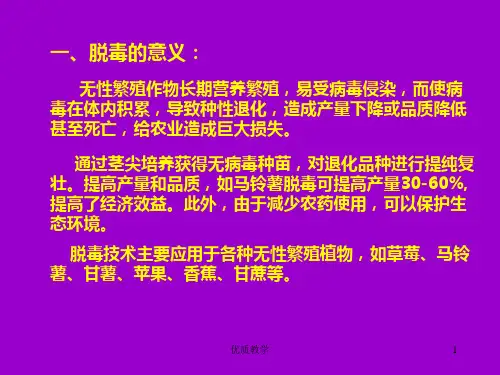 第三章第二节脱毒苗培养章节优讲