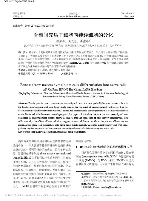 骨髓间充质干细胞向神经细胞的分化_安秀峰