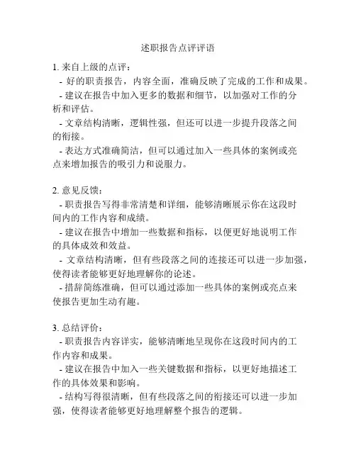 述职报告点评评语