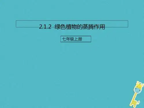 绿色植物的蒸腾作用PPT课件9 济南版