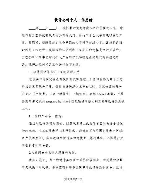 软件公司个人工作总结（4篇）