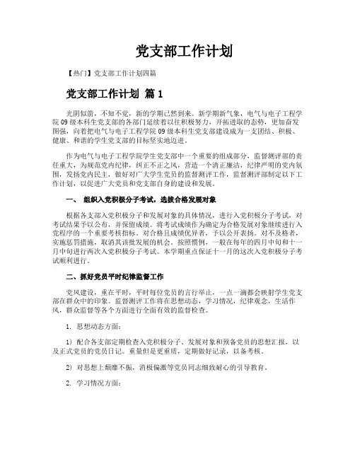 党支部工作计划