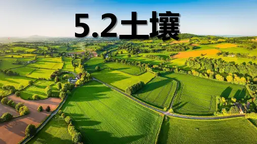 5.2土壤 第1课时-高一地理(人教版2019必修第一册)(共34张PPT)