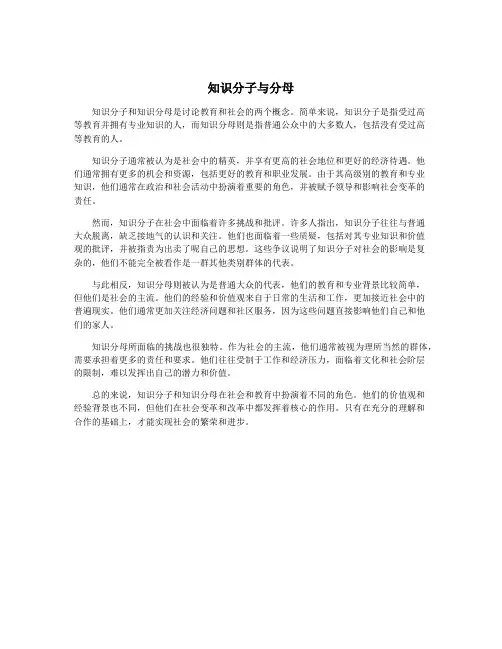 知识分子与分母