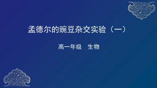 孟德尔的豌豆杂交实验(一)PPT讲课课件