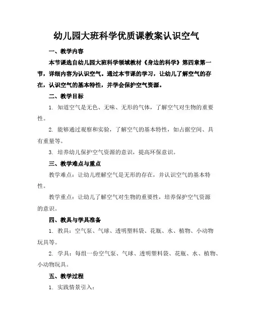 幼儿园大班科学优质课教案认识空气