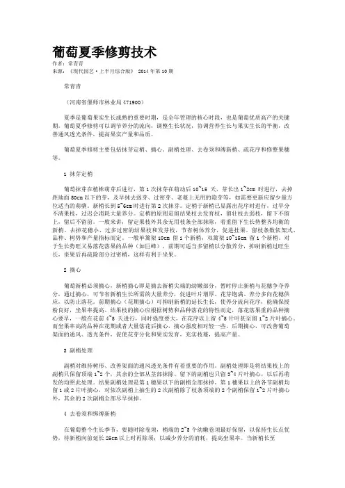 葡萄夏季修剪技术