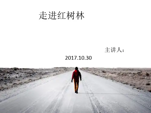 红树林科普讲座 ppt课件