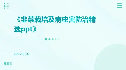 韭菜栽培及病虫害防治精选PPT