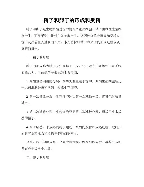 精子和卵子的形成和受精