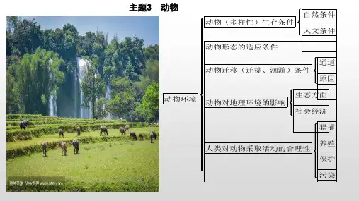 高考地理二轮复习课件主题3 动物