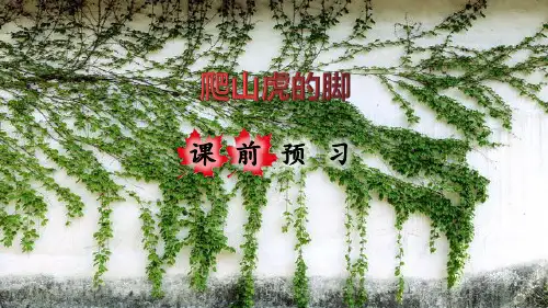 《爬山虎的脚》ppt课件