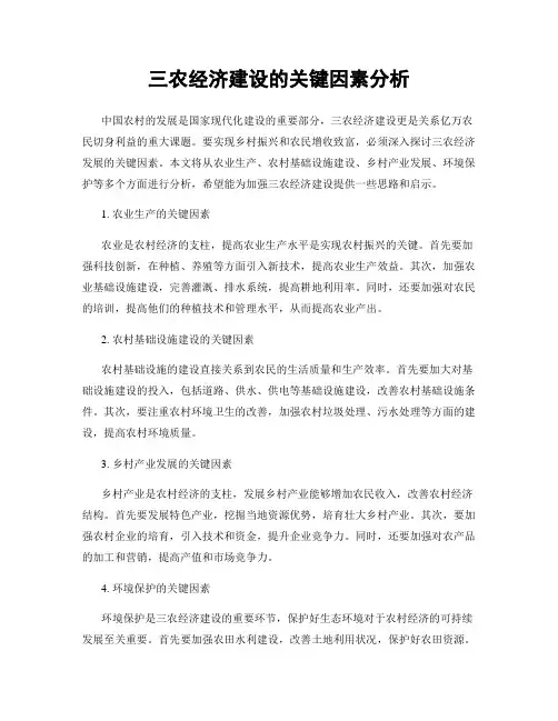 三农经济建设的关键因素分析