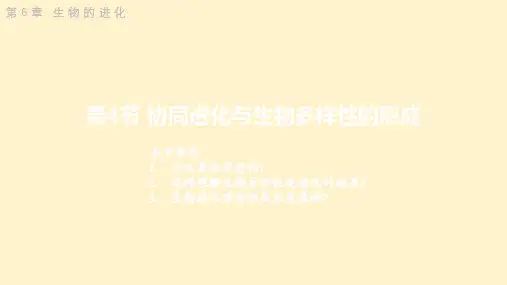 【高中生物】协同进化与生物多样性的形成课件 2022-2023学年高一下学期生物人教版必修2