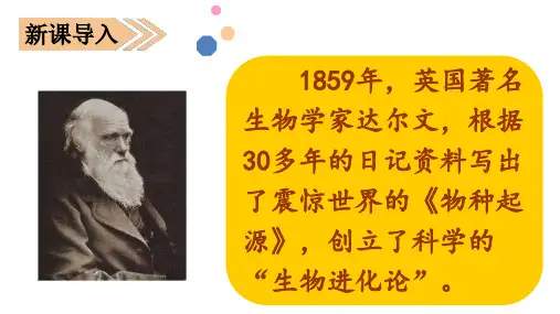 三年级语文上册课件-第二单元习作指导人教部编版