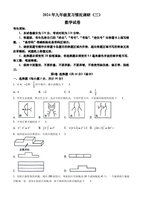 2024年黑龙江省哈尔滨市南岗区中考复习情况调研(三)数学试题(含答案)