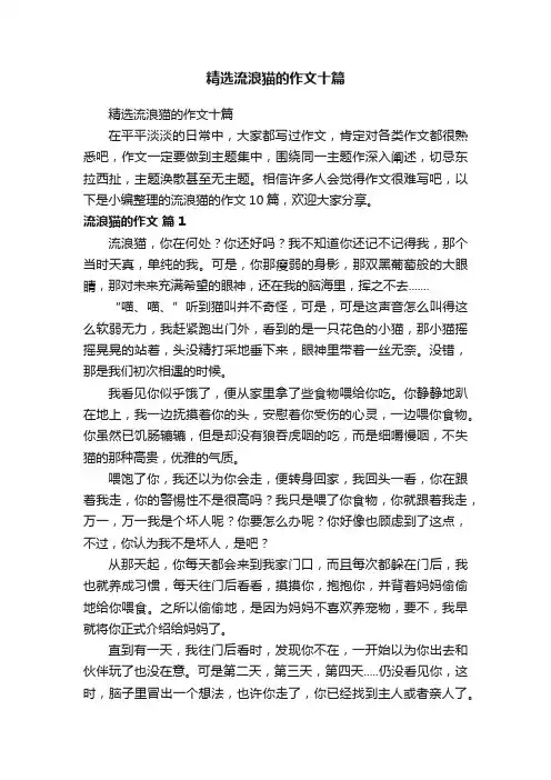 精选流浪猫的作文十篇