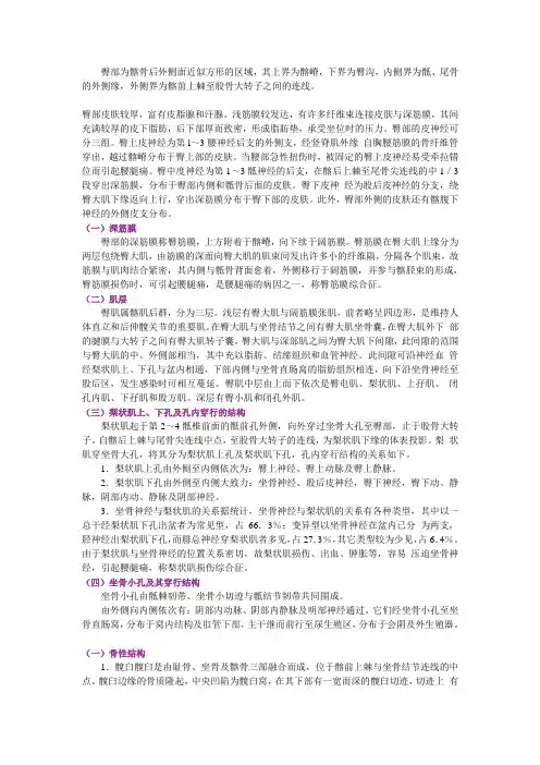 局部解剖学-下肢