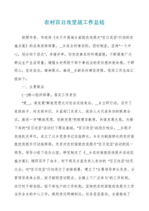 农村百日攻坚战工作总结