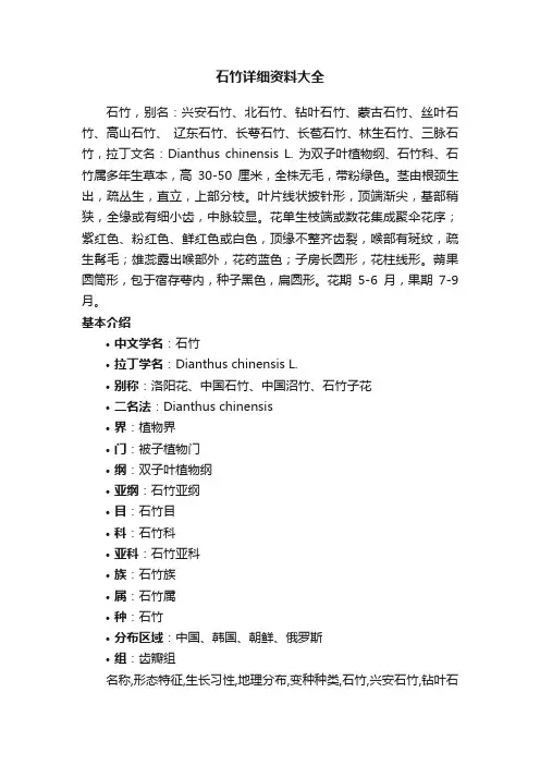 石竹详细资料大全