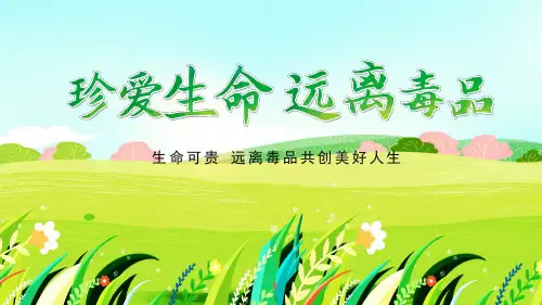 珍爱生命远离毒品(完美版)ppt