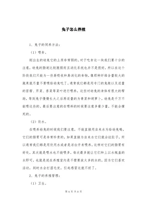兔子怎么养殖