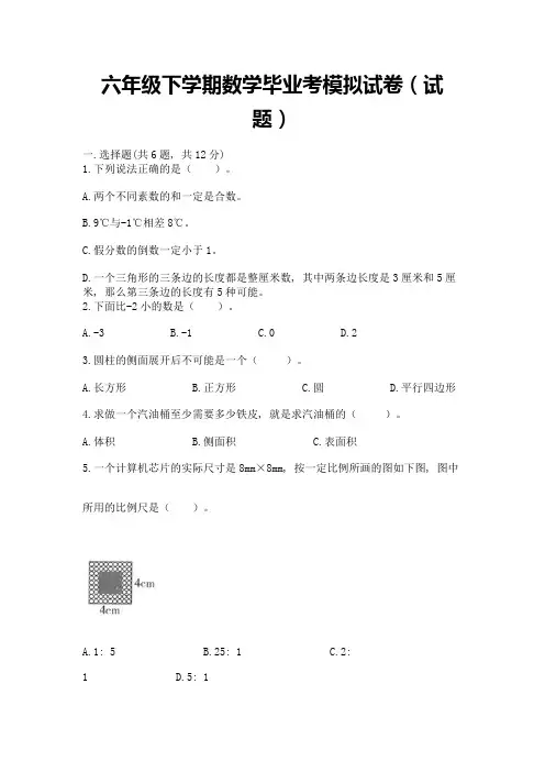 六年级下学期数学毕业考模拟试卷(试题)【全优】