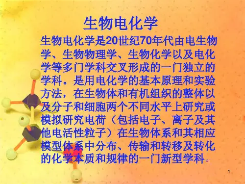 生物电化学ppt