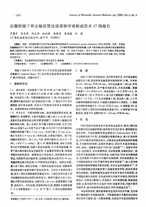 后腹腔镜下肾盂输尿管连接部狭窄离断成形术17例报告