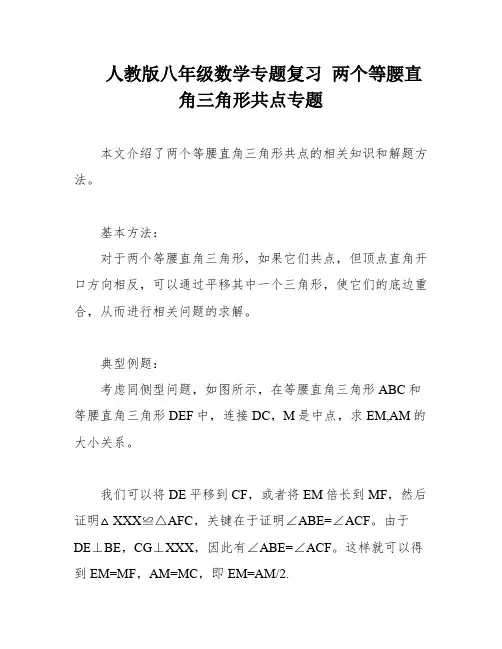人教版八年级数学专题复习 两个等腰直角三角形共点专题