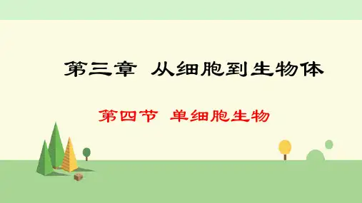 人教版生物 七年级上册    单细胞生物