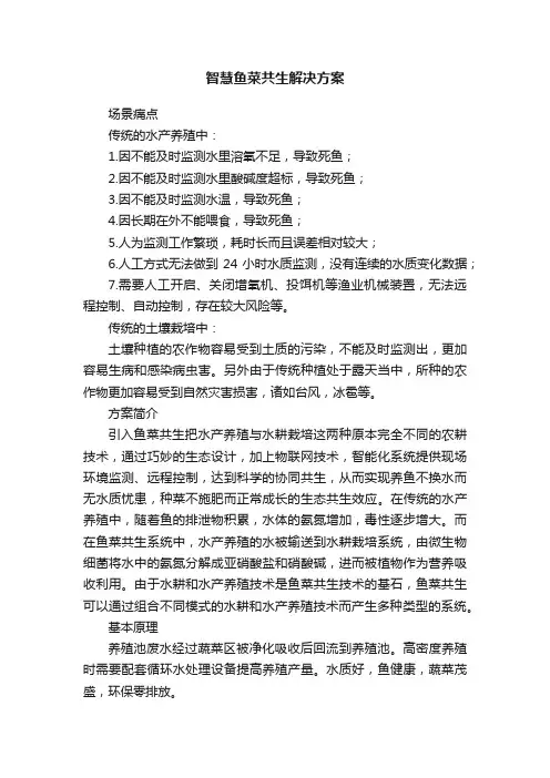智慧鱼菜共生解决方案
