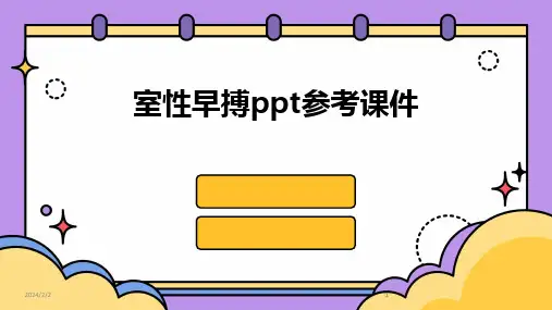 2024版年度室性早搏ppt参考课件