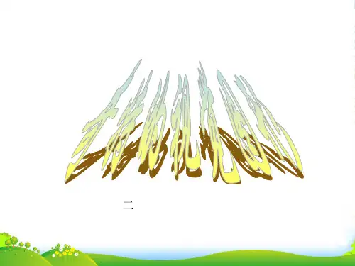 初中美术课件 奇特的视觉图形2