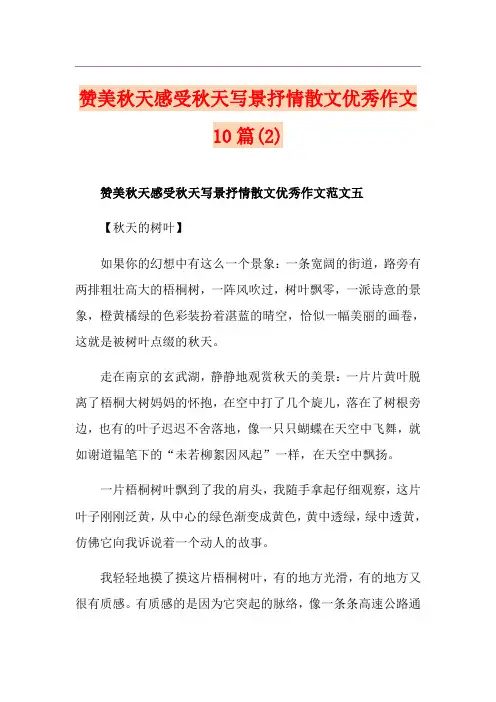 赞美秋天感受秋天写景抒情散文优秀作文10篇